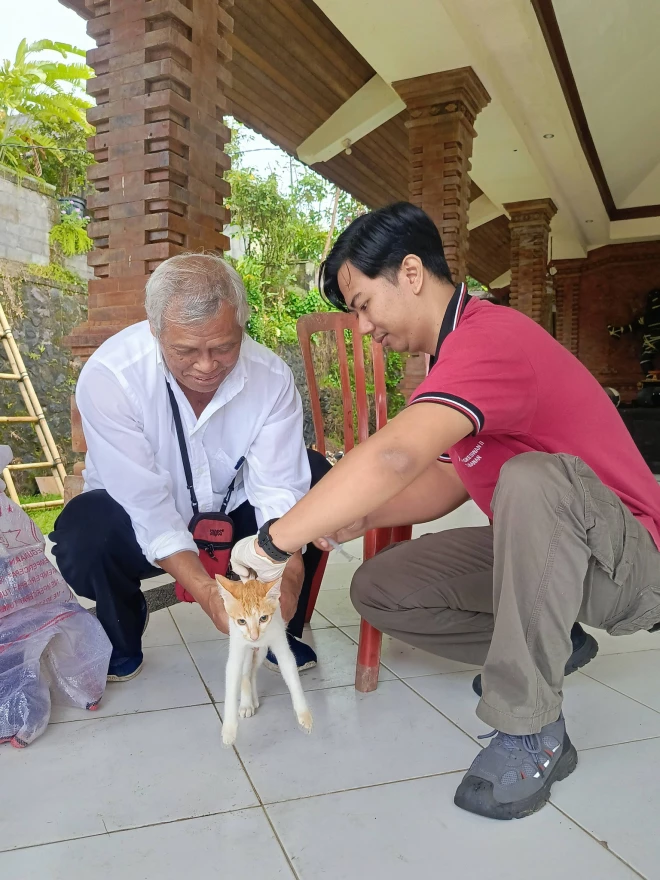 Telah dilaksanakan kegiatan vaksinasi rabies pada hewan peliharaan (anjing dan kucing) di Seluruh Banjar Desa Tunjuk.